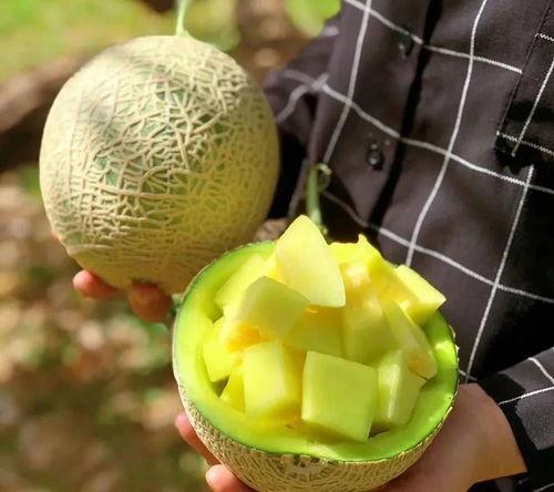 娱乐吃瓜最近,揭秘明星幕后故事