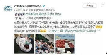 娱乐吃瓜酱医学生